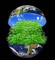 Blooming Earth