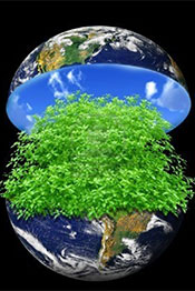 blooming earth